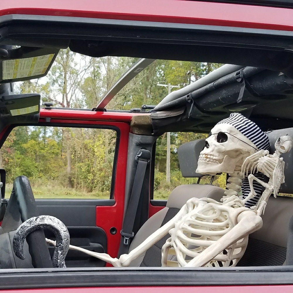 Skully - Picture 2 of 3